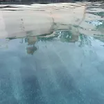 Alchimia Tra Suoni E Colori 4*