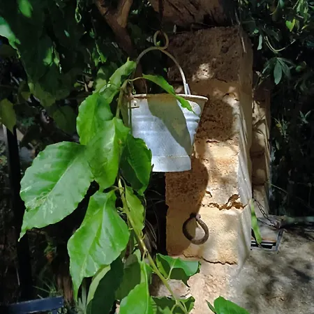 Bed & Breakfast Alchimia Tra Suoni E Colori