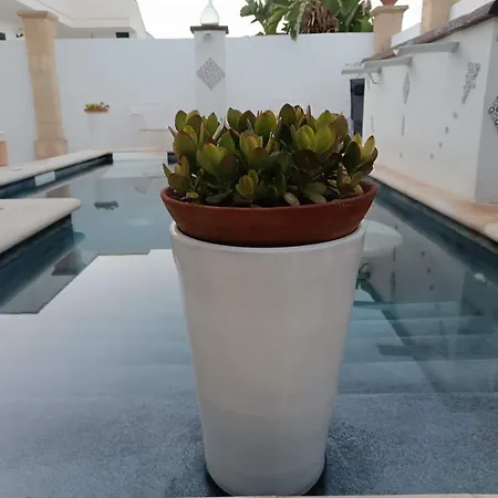 Alchimia Tra Suoni E Colori Marina di Mancaversa