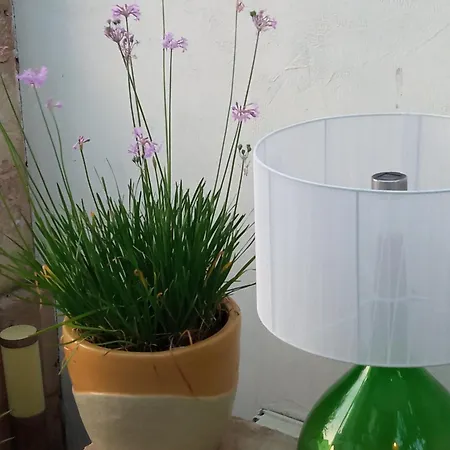 Bed & Breakfast Alchimia Tra Suoni E Colori