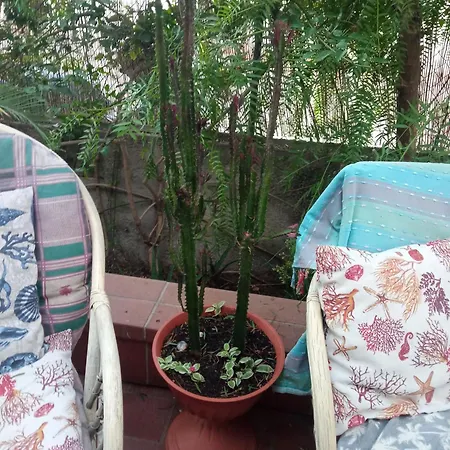 Alchimia Tra Suoni E Colori