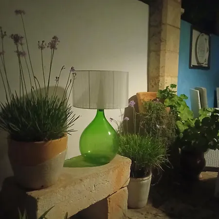 Alchimia Tra Suoni E Colori