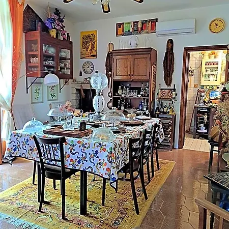 Alchimia Tra Suoni E Colori 玛丽娜迪曼卡维萨